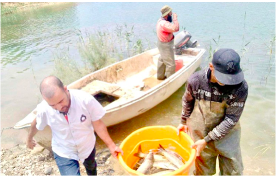 Développement de la pêche continentale : La production multipliée par deux à Jijel