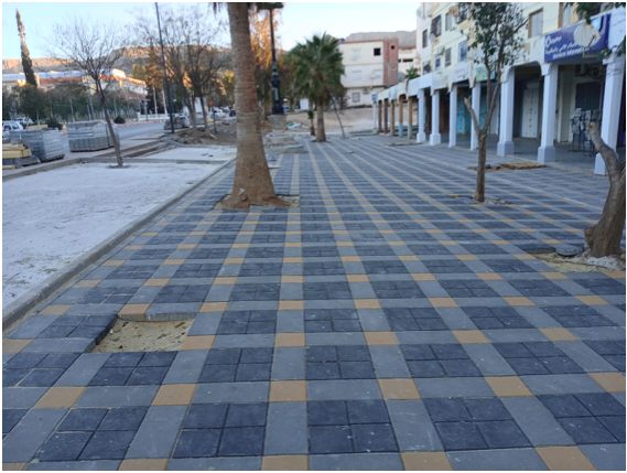 Aménagement urbain à Oum El Bouaghi : Quand le béton l’emporte sur la nature !