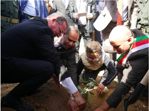 Oum El Bouaghi : Aïn Zitoun célèbre la journée de l’arbre : Planter pour mieux protéger les forêts