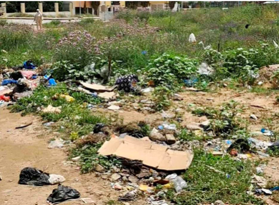 Catastrophe écologique dans une zone humide : Le lac Fatzara pollué par les déchets toxiques