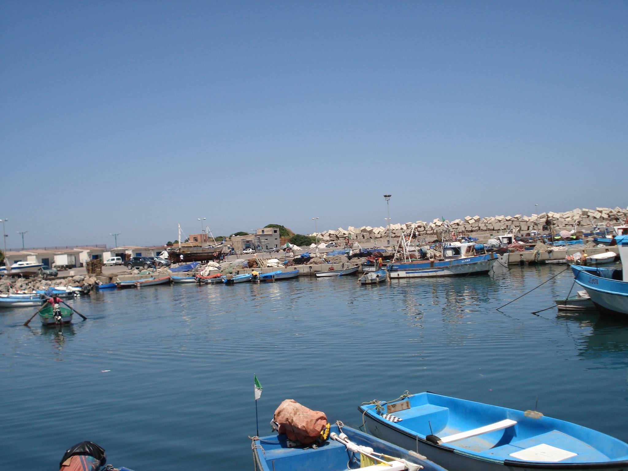 Ressources halieutiques à Kissir et Boussiaba (Jijel) : Un avenir prometteur pour la pêche continentale