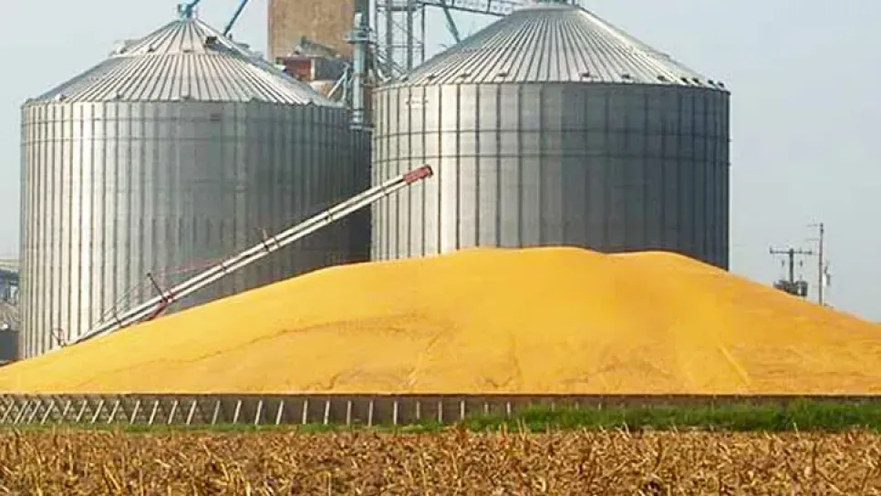 Silos à grains en vue des moissons à Constantine : Aïn Abid met les bouchées doubles